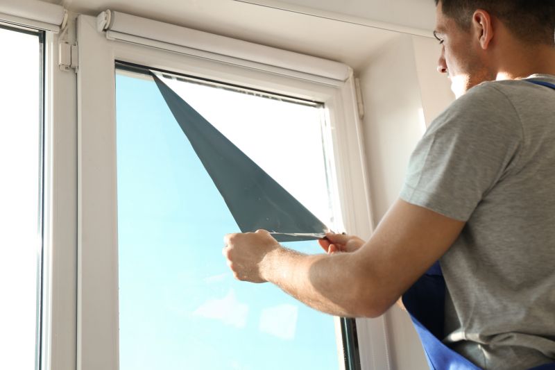 Tinted Window Installation